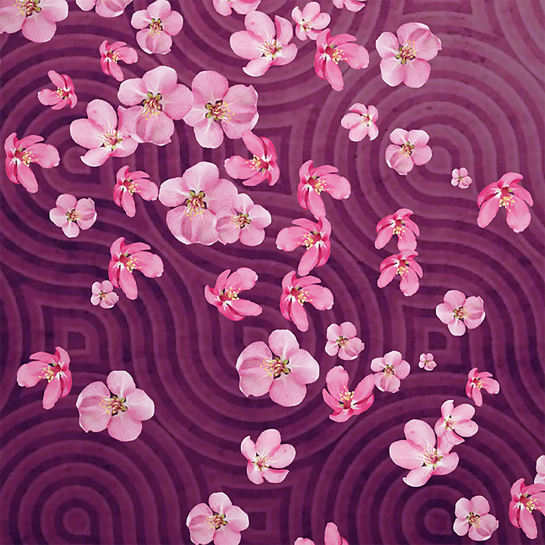 Zen Sakura Womens V-Neck T-Shirt