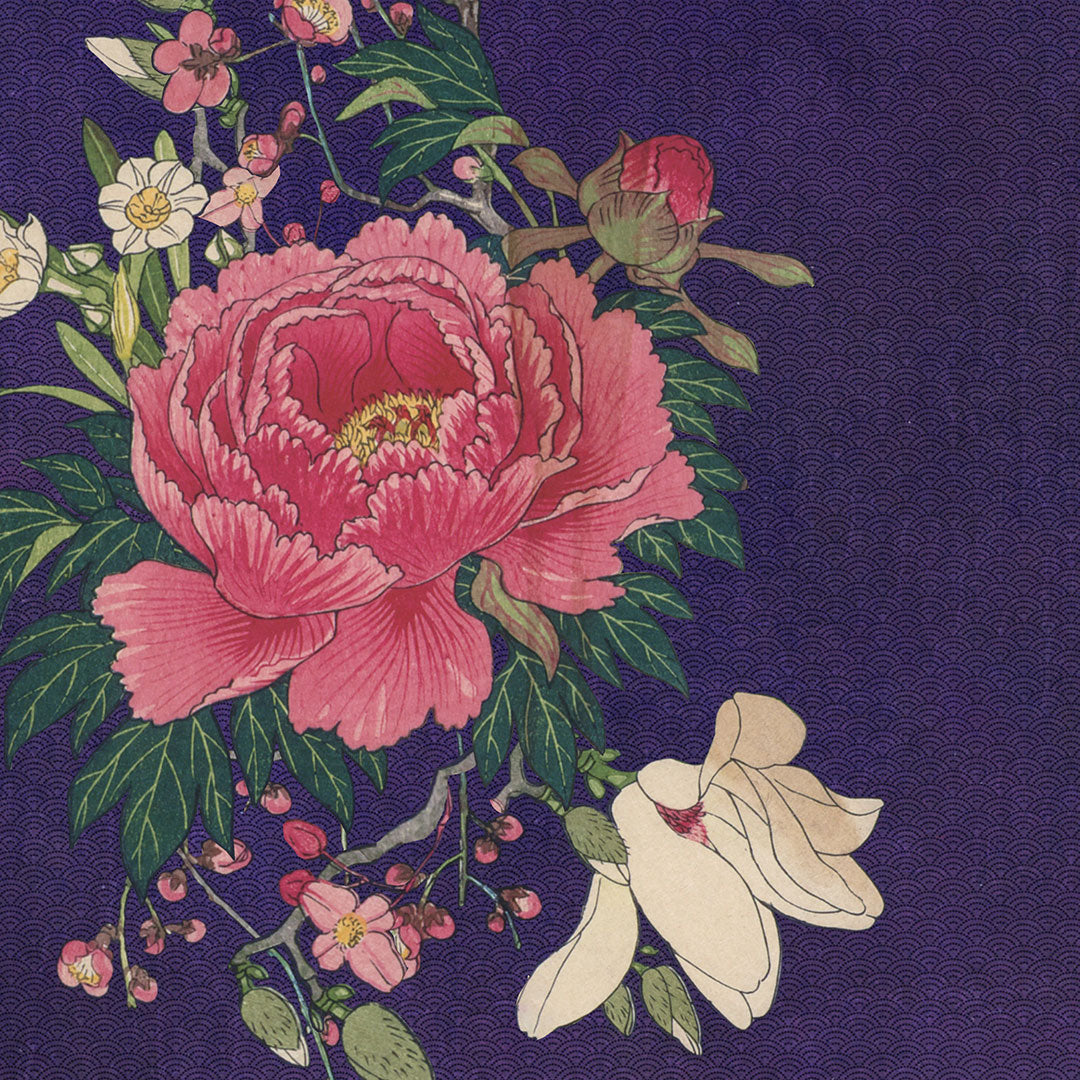 XL - Botan Purple T-Shirt (Marked Down)